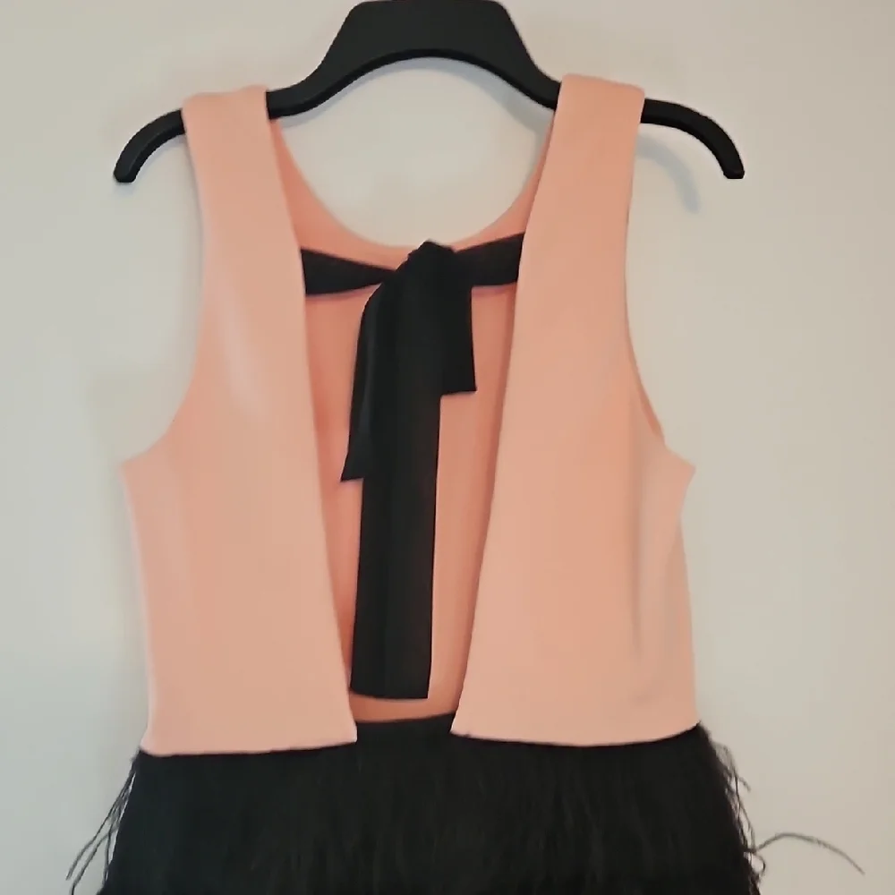 MAIA Peach and Black Dress With Feathers Size 8 - Picture 10 of 16